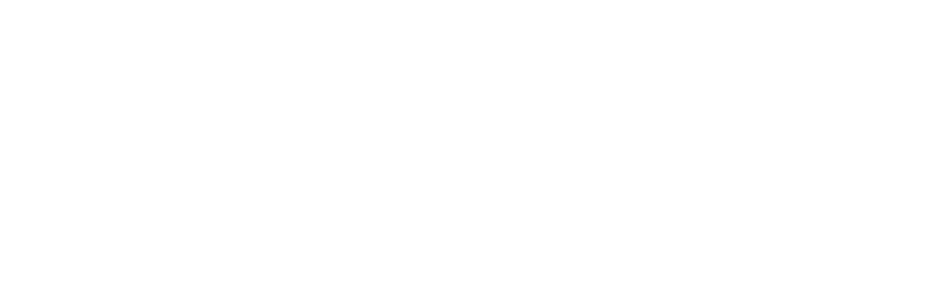 フットサルが世界的ブームとなって十数年。数々のスター選手の誕生もあり、フットサルは日本でも一躍人気のスポーツとなった。恒陽学園、アーダルベルト学院、桃実高校、5校のフットサル部も、全国の頂点を目指し、全力で夢を追いかけている。