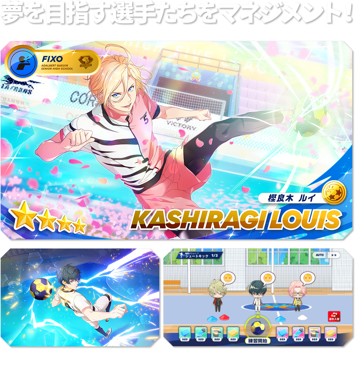 【夢を目指す選手たちをマネジメント！】個性豊かな選手と出会い、オリジナルチームを編成！ハイファイリーグの頂点を目指し選手を育成しよう！