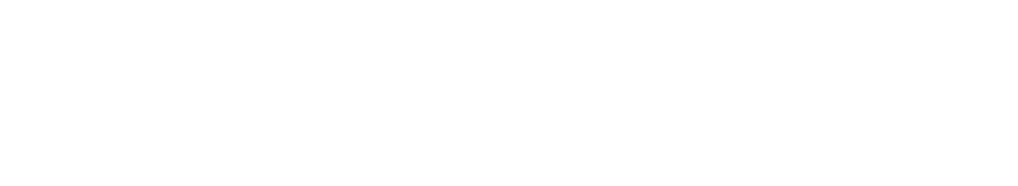 TEAM STORY