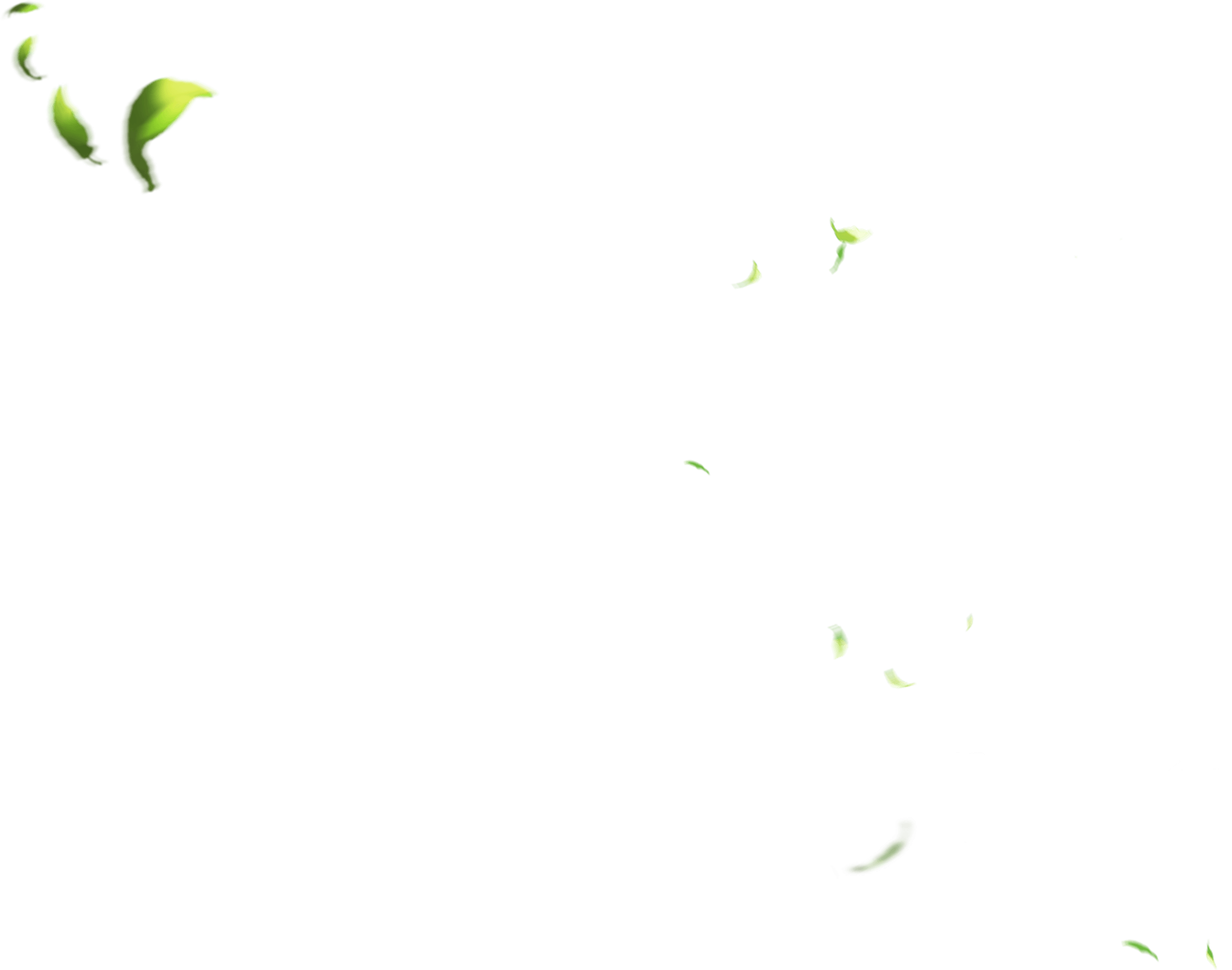 leafB