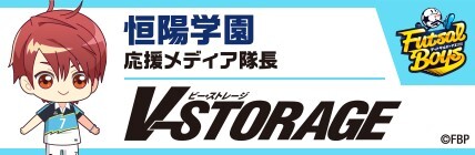 V-STORAGE